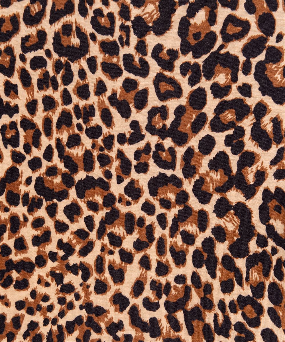 Leopard Mock Neck Cutsew / レオパードモックネックカットソー glamb グラム