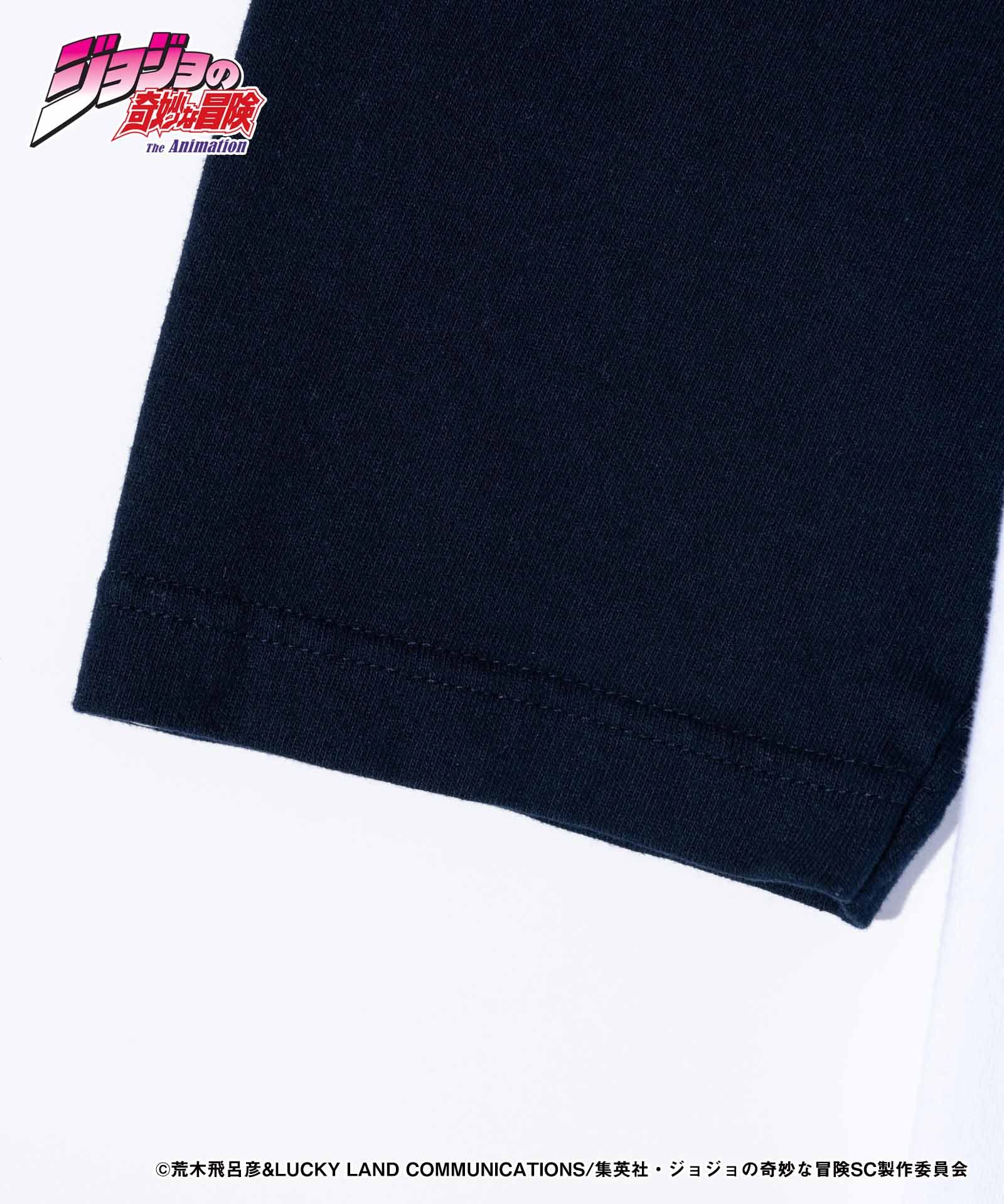 JOJO ジョジョ glamb グラム Ebony Devil Raglan Cutsew エボニーデビルラグランカットソー