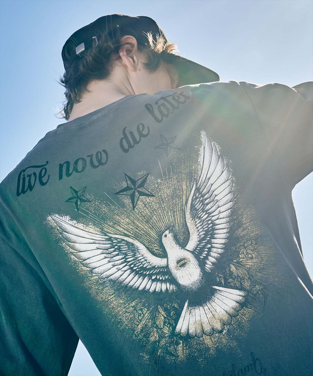 SALE/セール Dove Cutsew / ダブカットソー glamb グラム